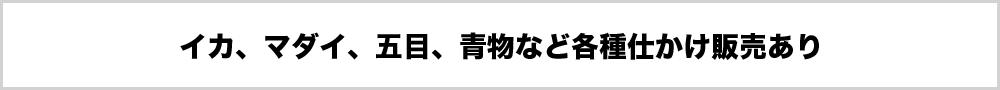 イカ、マダイ、五目、青物など各種仕かけ販売あり