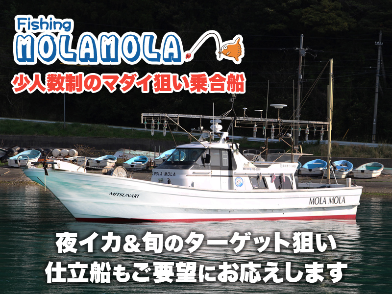 Fishing MOLAMOLA（フィッシングモラモラ）」の公式サイト - 福井 小浜湾・若狭大島 釣り船