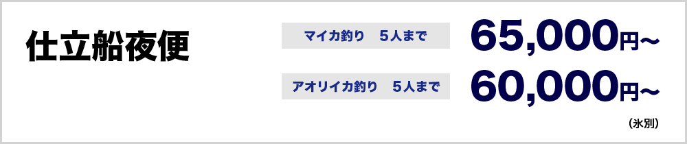 仕立船夜便 マイカ釣り5人まで65,000円～　アオリイカ釣り60,000円～（氷別）