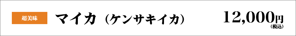 超美味　マイカ（ケンサキイカ）　12,000円（税込）