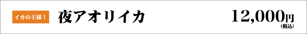 イカの王様！　夜アオリイカ　12,000円（税込）